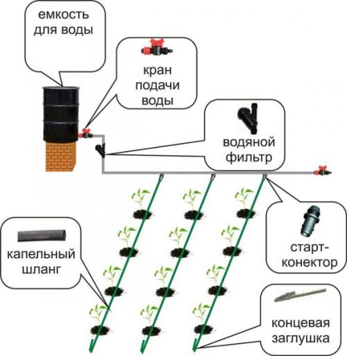 Капельный полив из шланга своими руками. Составляющие и варианты компоновки