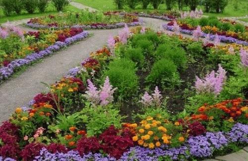 Как выбрать оптимальную площадь для каждого многолетника: советы по посадке 04