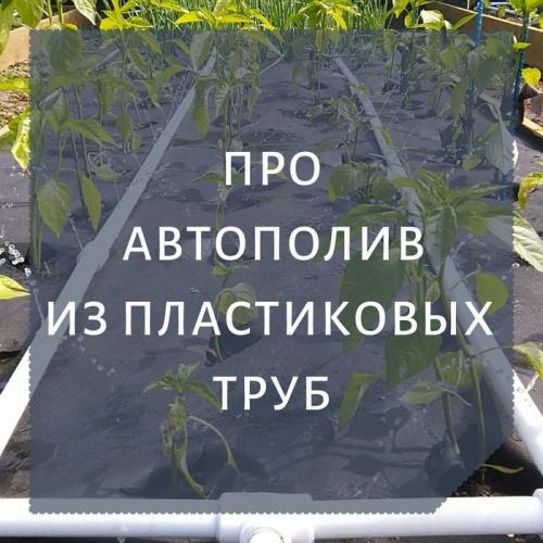 Капельный полив из канализационных труб. Про автополив из пп труб