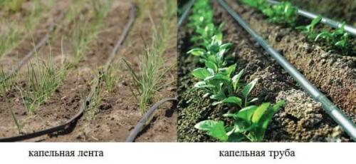 Полипропиленовая труба для капельного полива. Составляющие и варианты компоновки