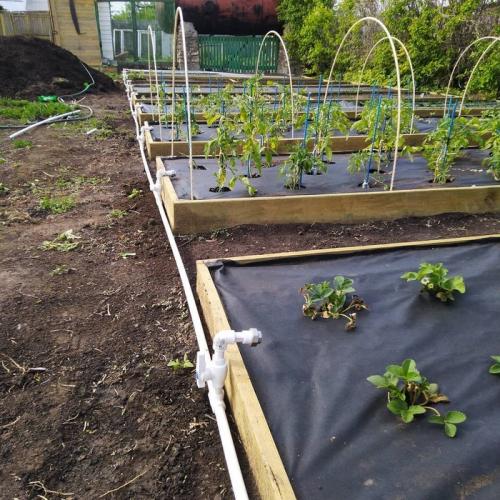 Капельный полив из канализационных труб. Про автополив из пп труб