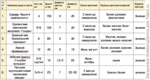Какие формы клумб лучше всего подходят для угловых участков. Угловой солнечный цветник из однолетников