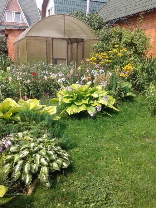 Какие ошибки часто допускают при создании клумб из многолетних цветов. Ошибки и удачные посадки цветов (опыт и много фото)