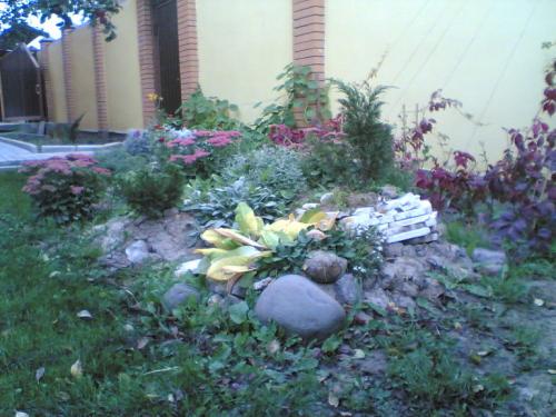 Какие ошибки часто допускают при создании клумб из многолетних цветов. Ошибки и удачные посадки цветов (опыт и много фото)