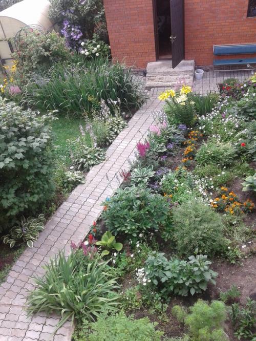 Какие ошибки часто допускают при создании клумб из многолетних цветов. Ошибки и удачные посадки цветов (опыт и много фото)