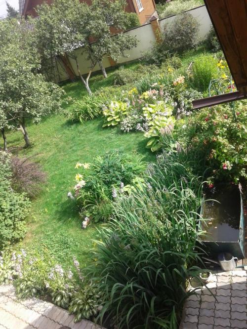 Какие ошибки часто допускают при создании клумб из многолетних цветов. Ошибки и удачные посадки цветов (опыт и много фото)