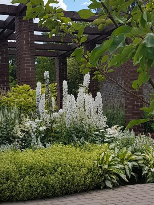 Может ли клумба из многолетних цветов быть низкообслуживаемой. Что можно посадить из многолетних невысоких цветов на клумбе, где под слоем грунта лежит цементная плита?