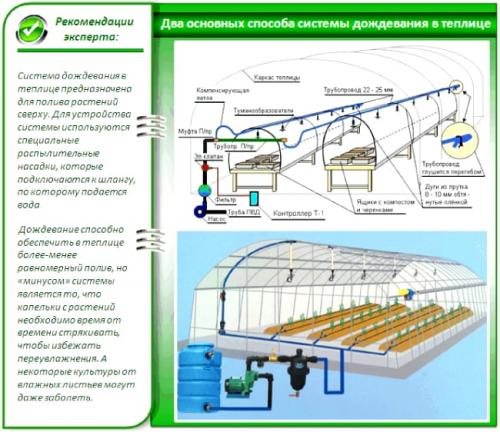 Автоматический капельный полив в теплице. Система автоматического полива в теплице