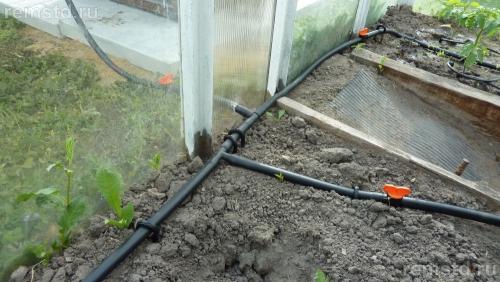 Как сделать капельный полив из бочки для теплицы. Делаем капельный полив в теплице из бочки