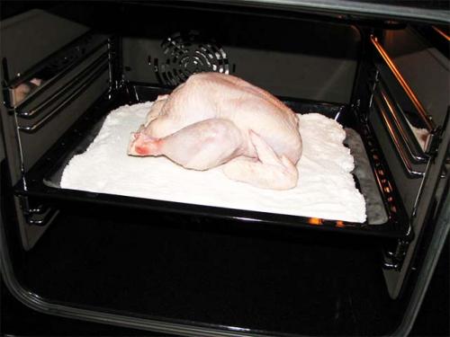 Курица на соли с чесноком. Курица на соли в духовке — пошаговый рецепт