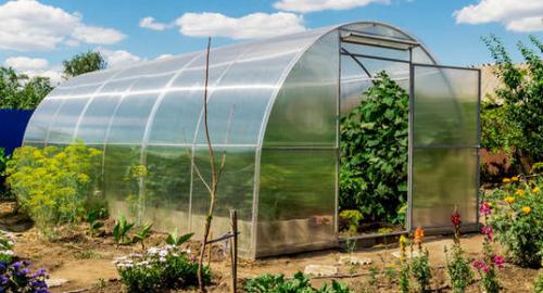 Как крепить поликарбонат на верху теплицы. Как прикрутить поликарбонат на теплицу сверху: возможные решения