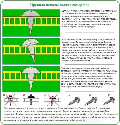 Как крепить поликарбонат на верху теплицы. Учет характеристик материала