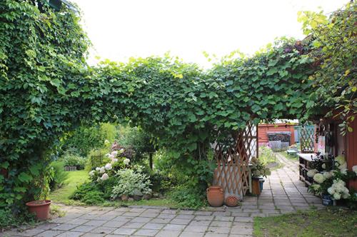 Какие декоративные элементы можно использовать для украшения сада. Малая архитектура. Какие декоративные предметы помогут украсить сад