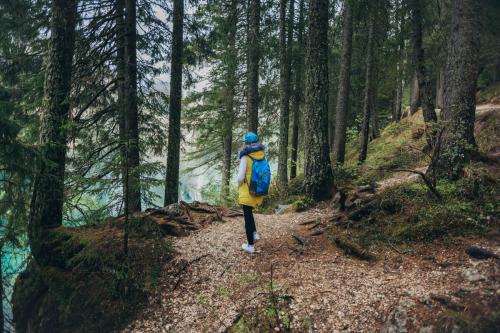 Товары для сада и отдыха: обзор лучших решений для вашего участка 04