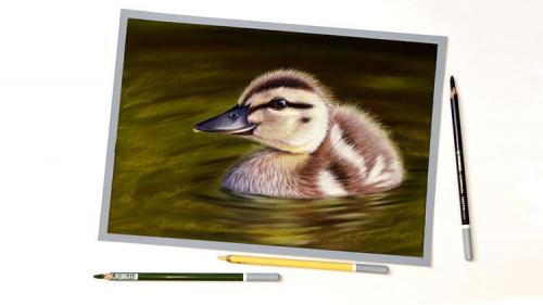 Теплые цвета палитра. ЦВЕТОВАЯ ТЕМПЕРАТУРА В ЖИВОПИСИ