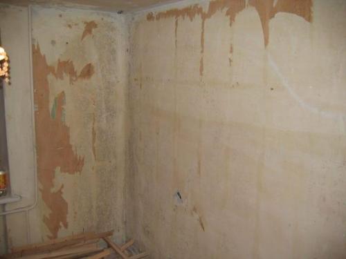 Как снять старую краску с бетонной стены. Три варианта, как снять краску с бетонной стены — готовимся к капитальному ремонту