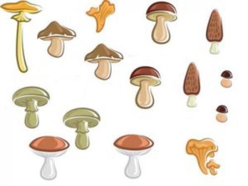 Поделки для дете. Первые поделки с детьми 2 лет: знакомимся и привыкаем к творчеству (Часть 1)