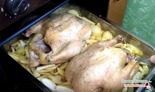 Курица гриль в духовке с картошкой. Курица с картошкой в духовке — 8 самых вкусных рецептов