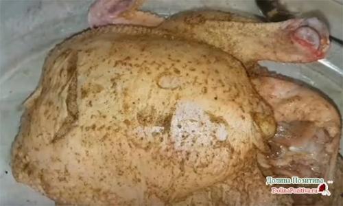 Курица гриль в духовке с картошкой. Курица с картошкой в духовке — 8 самых вкусных рецептов