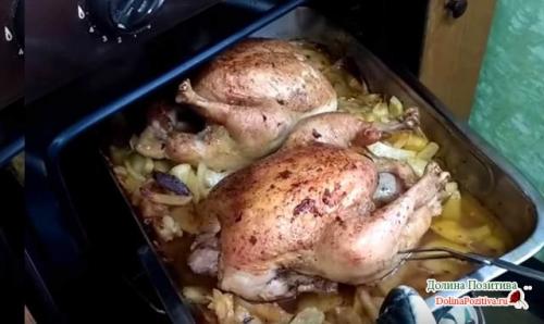 Курица гриль в духовке с картошкой. Курица с картошкой в духовке — 8 самых вкусных рецептов