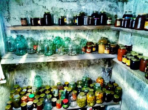 Чем обработать бетонные стены в погребе. Плесень и грибок в погребе и подвале: причины появления