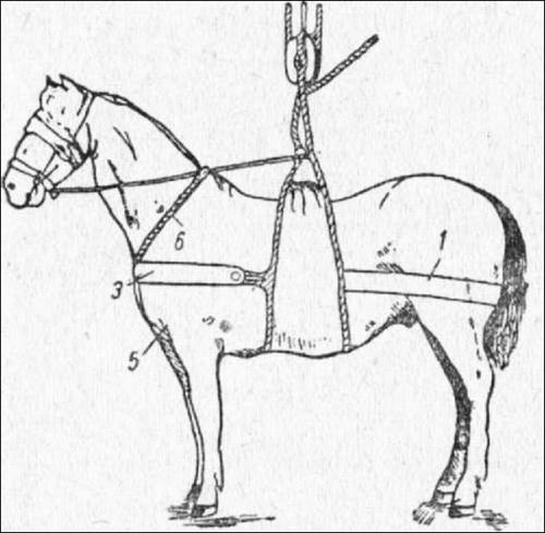 Драить палубу. О флотских словечках: лопатить палубу, шейное очко и др.