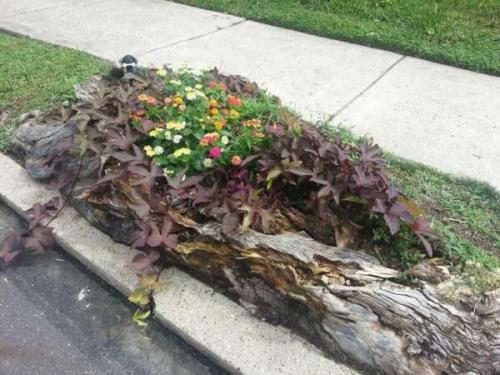 Гипсовые вазоны для цветов. Из пней и бревен