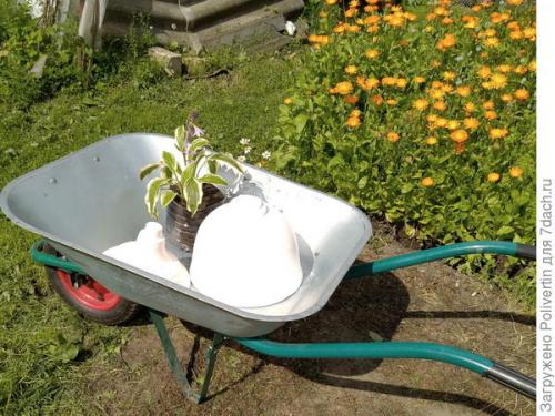 Кашпо из гипса своими руками. Вазон из гипса своими руками