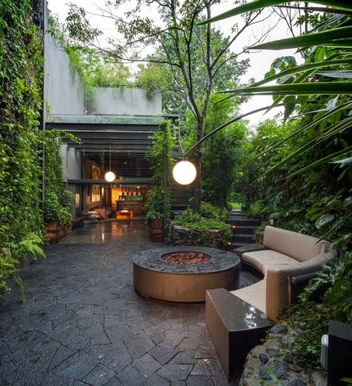 Какие цветы идеальны для лофт стиля. Озеленение участка