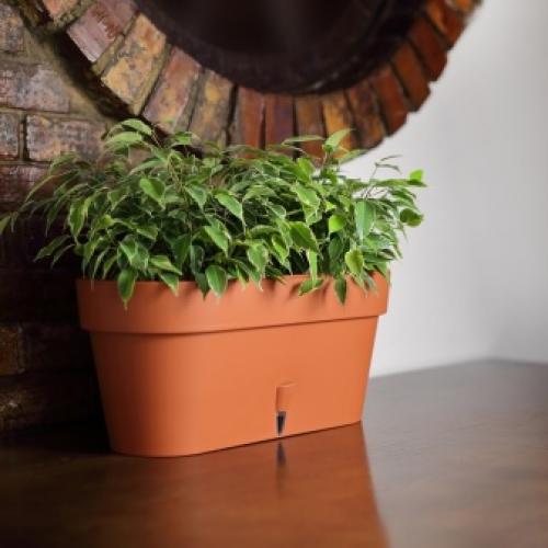 Кашпо в стиле загородный лофт. Интерьер в стиле лофт: выбираем кашпо для растений 02 Кашпо в стиле загородный лофт. Интерьер в стиле лофт: выбираем кашпо для растений 02