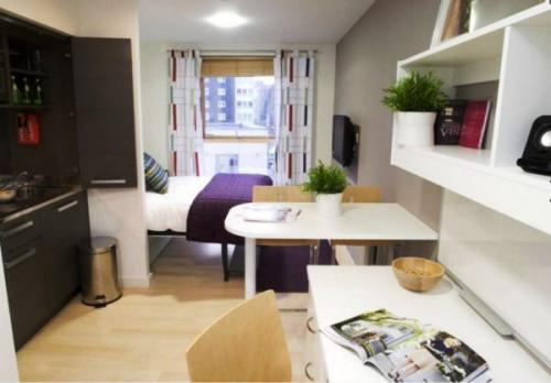 Как отделить кухню в маленькой студии. Кухня в маленькой квартире-студии: фото дизайна