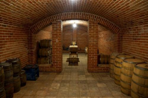 Отделка погреба снаружи. Погреб своими руками — постройка, дизайн, оформление и обустройство погреба (110 фото)