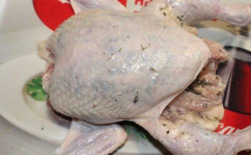 Курица на соли с чесноком. Курица с хрустящей корочкой, запеченная целиком на соли в духовке: секреты приготовления сочной курицы