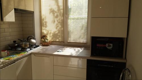 Кухня бежевая матовая. Преимущества и недостатки бежевого цвета на кухне