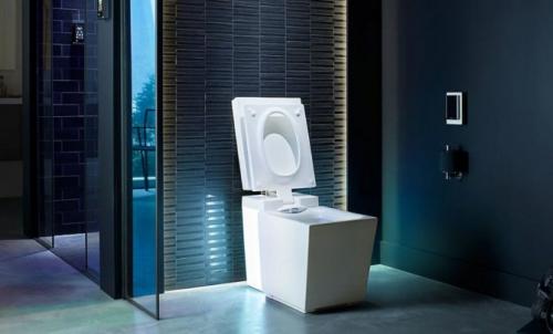 Дизайн туалета 2022. Как выбрать стиль интерьера для туалета