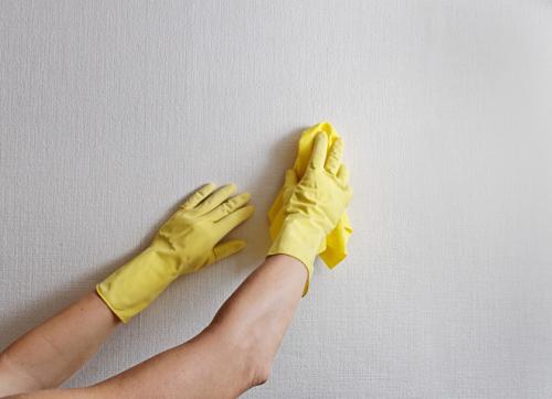 Как мыть окрашенные стены после ремонта. Как мыть окрашенные стены? [полезные советы для разных видов краски]