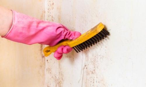Как снять советскую краску со стен. Чем можно удалить?