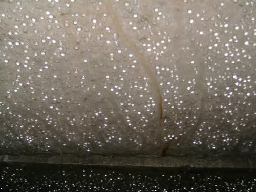 Отделка стен в подвале дешево. Как защитить и чем обшить погреб внутри: материалы-кандидаты и работа