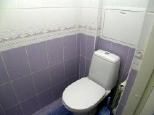 Что выбрать для отделки стен туалета. Варианты отделки туалета: отделка плиткой, обоями, панелями, фото