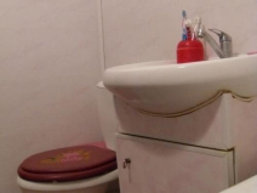 Что выбрать для отделки стен туалета. Варианты отделки туалета: отделка плиткой, обоями, панелями, фото