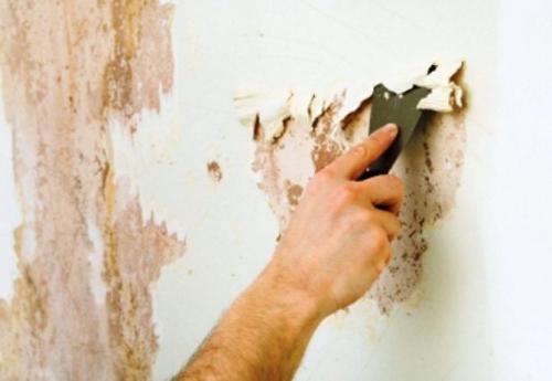 Когда нужно удалять краску со стен и потолка. Разница в работах в зависимости от поверхности и вида краски