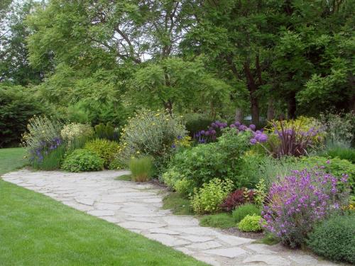 Как правильно установить бордюр или мискбордер с луковичными. Хитрости и секреты миксбордеров