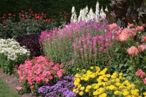 Готовые схемы и проекты клумб. 