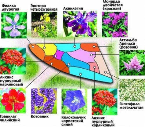 Готовые схемы и проекты клумб. 