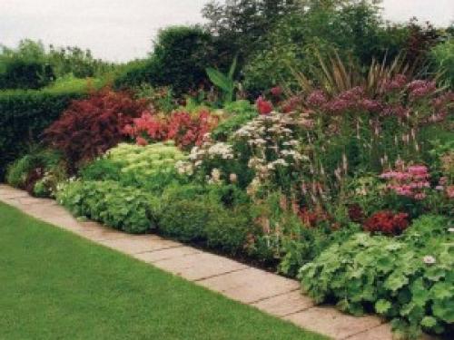 Миксбордеры на дачном участке и в саду своими руками. Выбор места для миксбордера 06