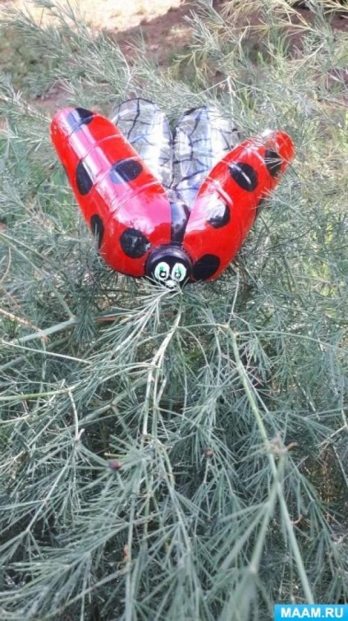 Какие инструменты необходимы для изготовления Божьей коровки из пластмассовых бутылок. Мастер-класс по изготовлению поделки из пластиковой бутылки «Божья коровка»
