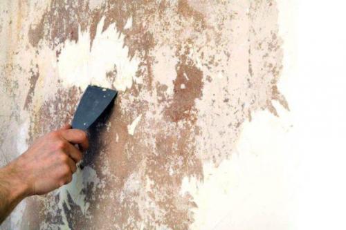 Нужно ли сдирать старую краску со стен. Обязательно ли удалять краску со стен перед поклейкой обоев?