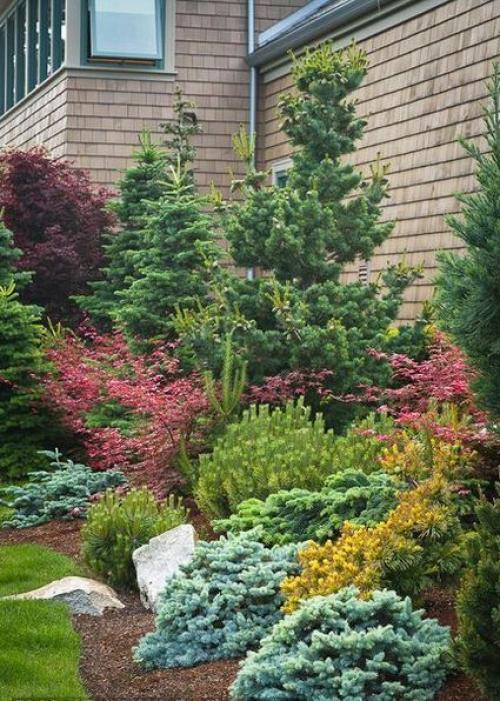 Миксбордер из многолетников: схемы. Миксбордеры из многолетников: фото и схемы