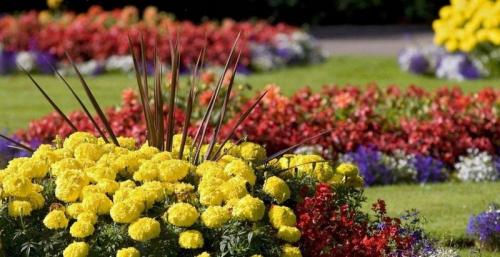 Микс border. Что такое миксбордер и его отличия от других цветников