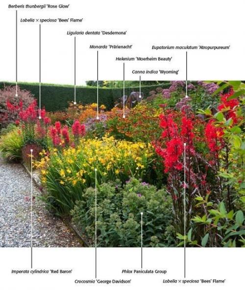Миксбордер из многолетников: схемы. Миксбордеры из многолетников: фото и схемы